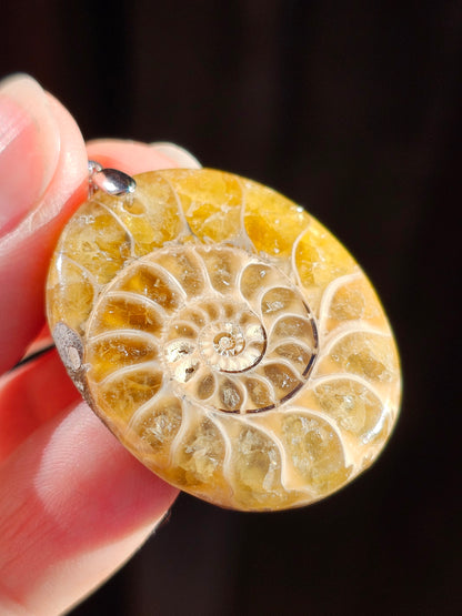 Pendentif en Ammonite