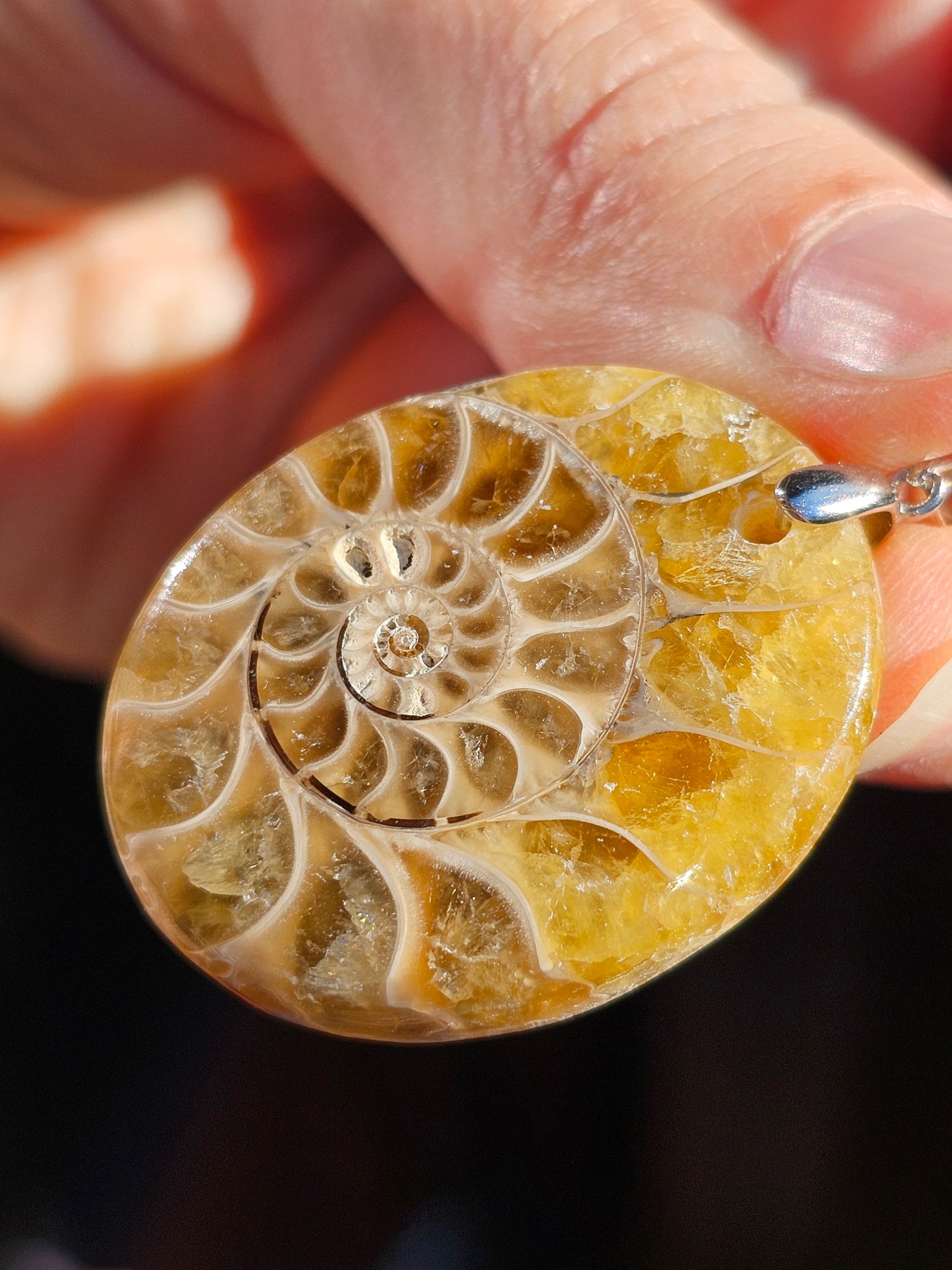 Pendentif en Ammonite