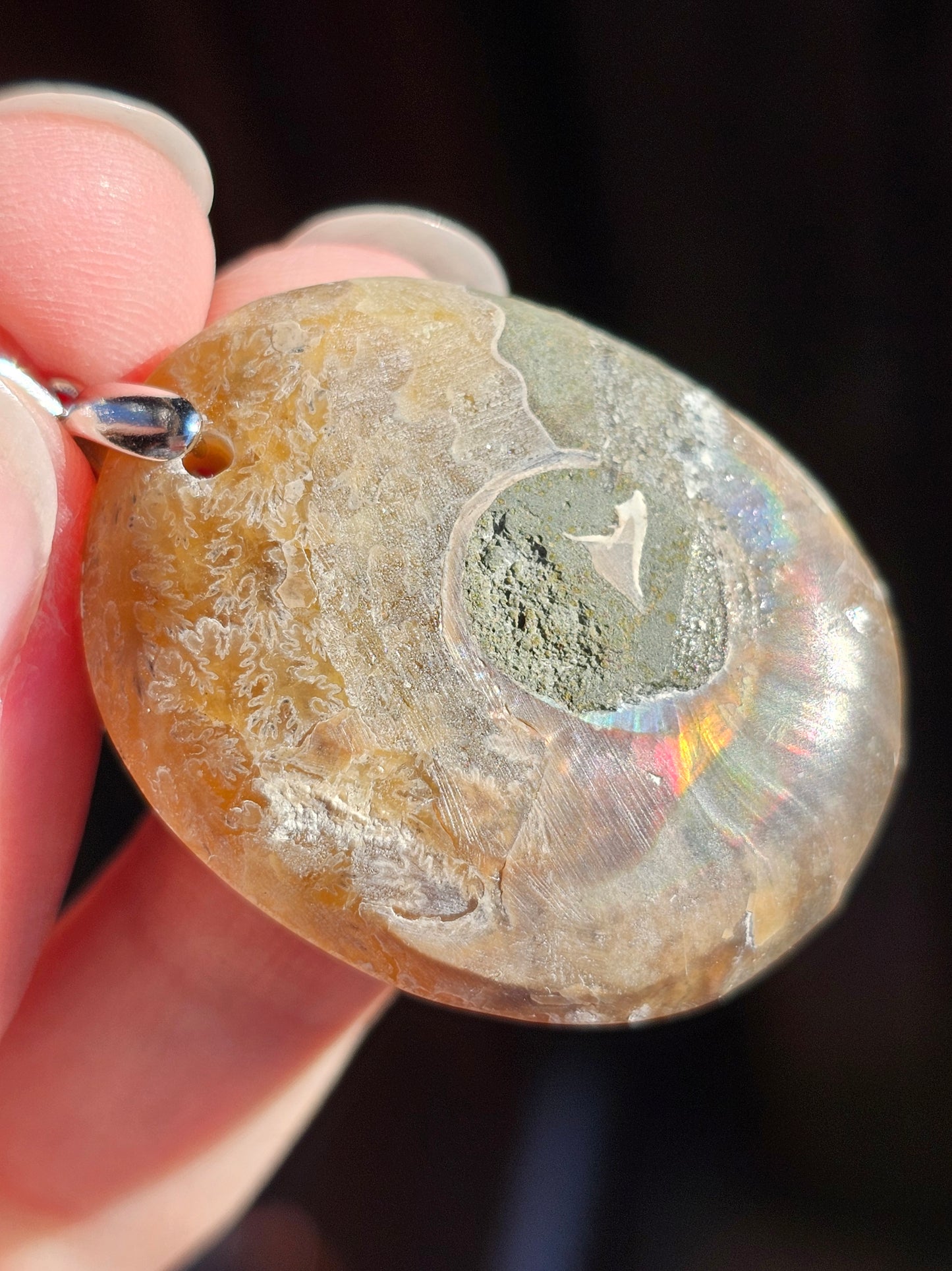 Pendentif en Ammonite