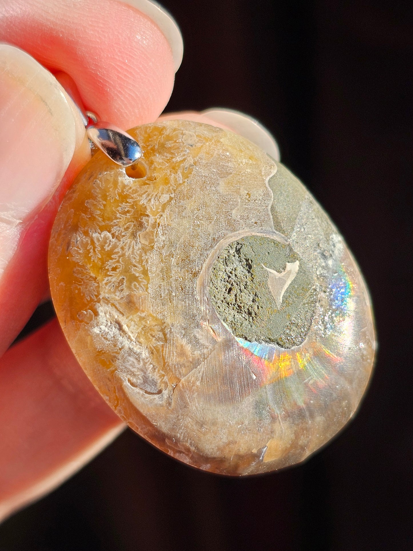 Pendentif en Ammonite