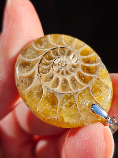 Pendentif en Ammonite