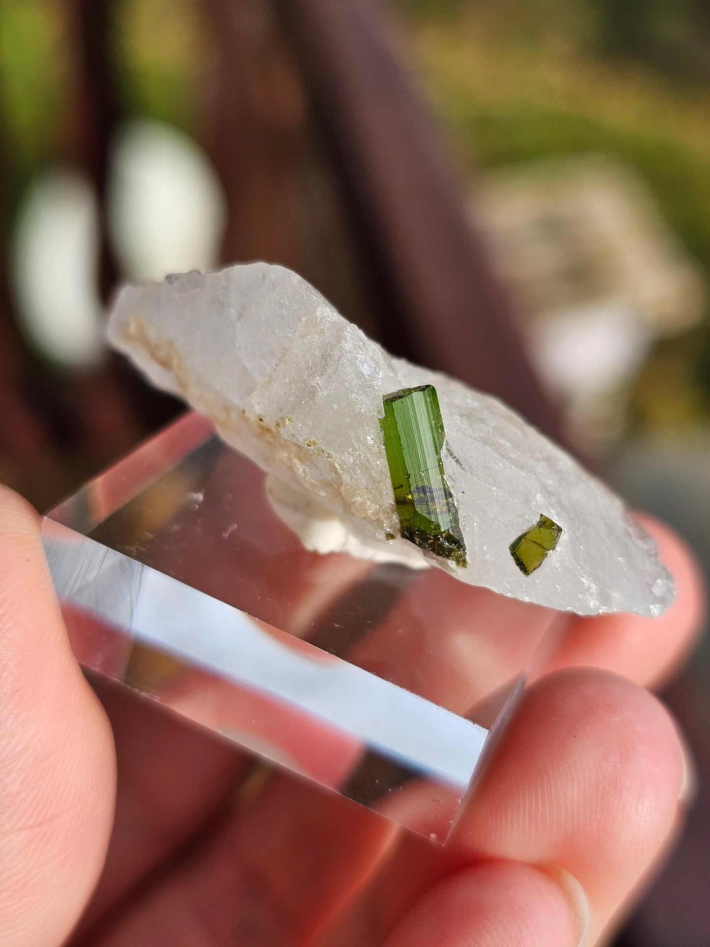 Tourmaline verte sur Quartz B