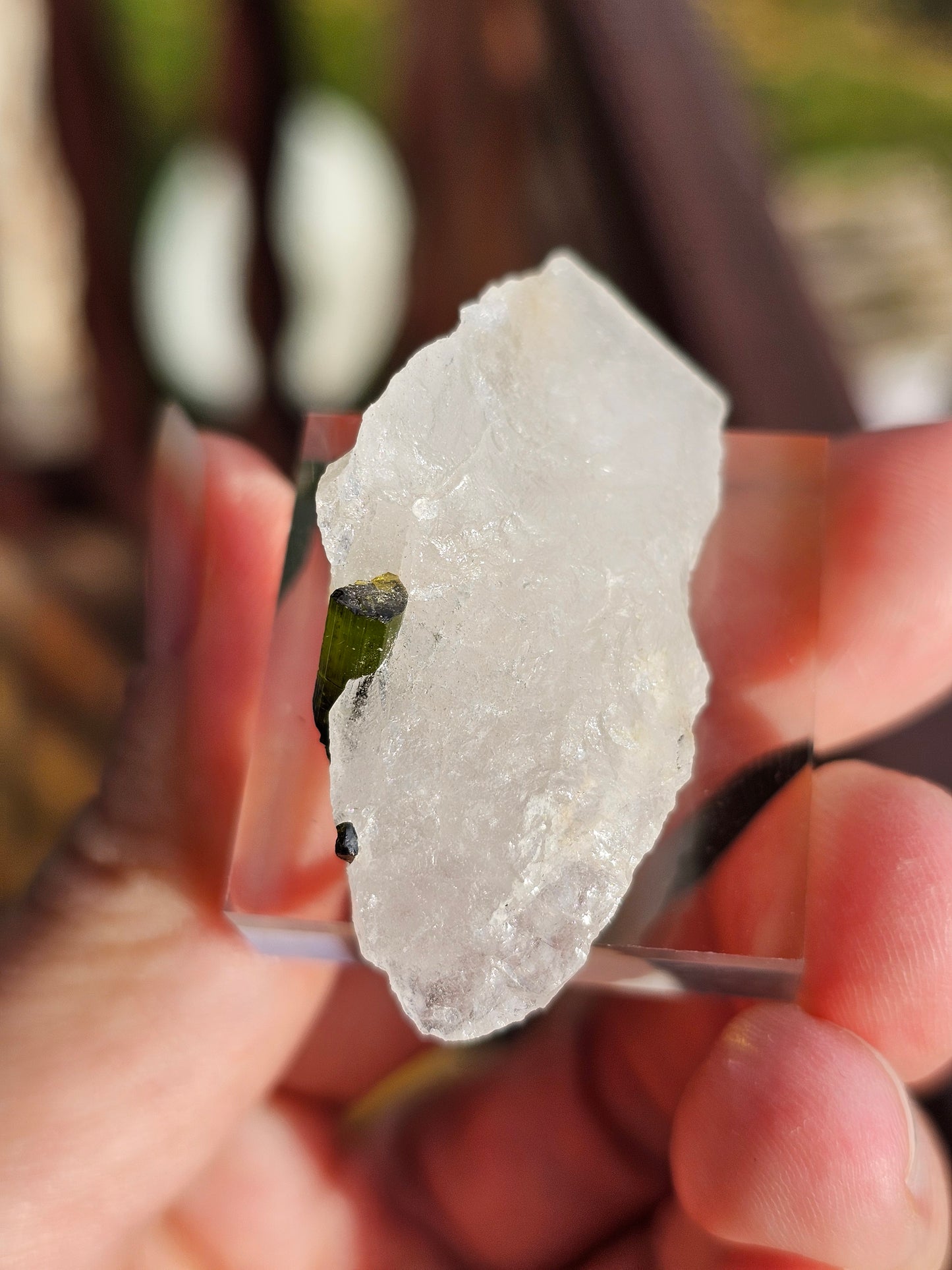 Tourmaline verte sur Quartz B