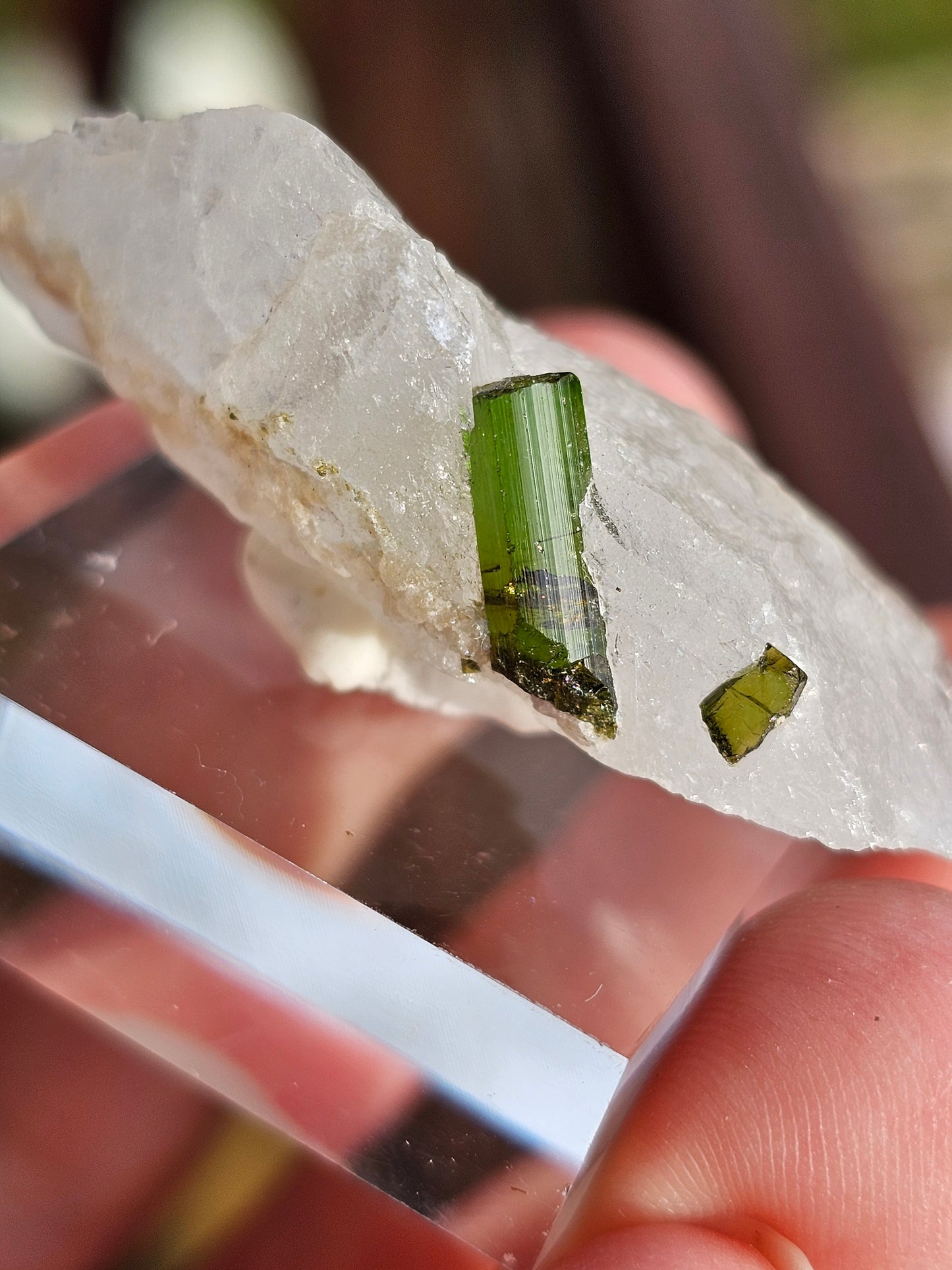 Tourmaline verte sur Quartz B