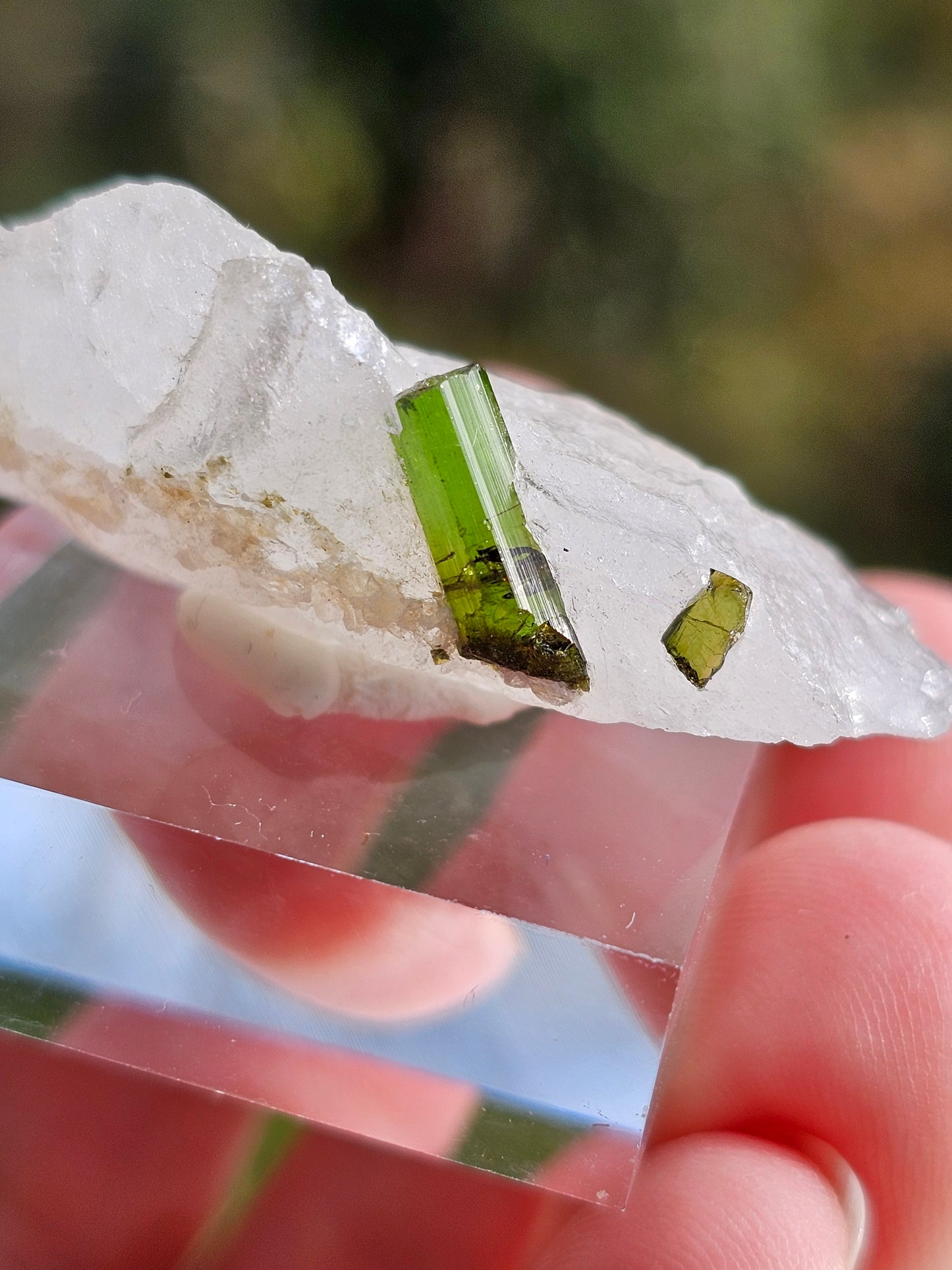 Tourmaline verte sur Quartz B