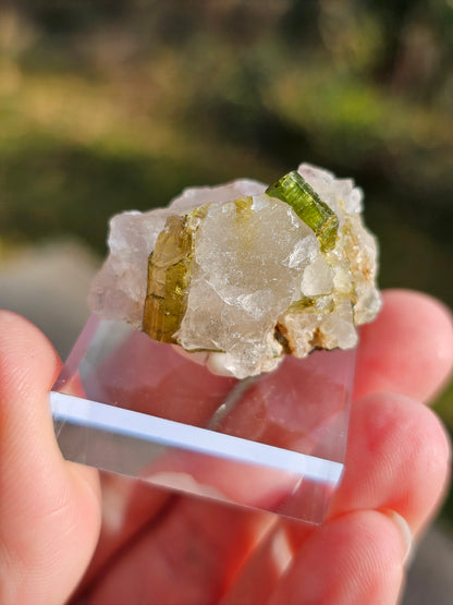 Tourmaline verte sur Quartz D