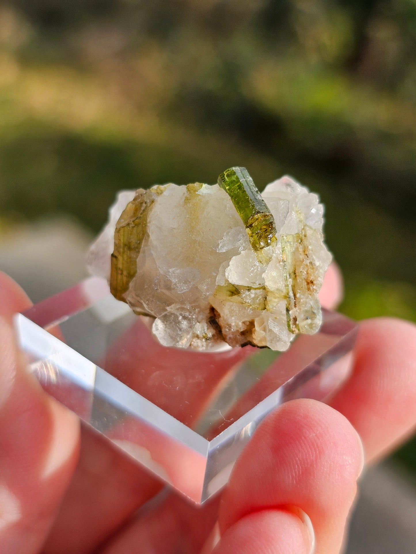 Tourmaline verte sur Quartz D