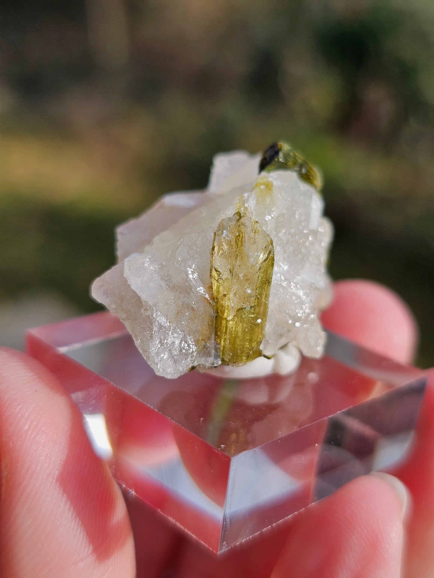 Tourmaline verte sur Quartz D