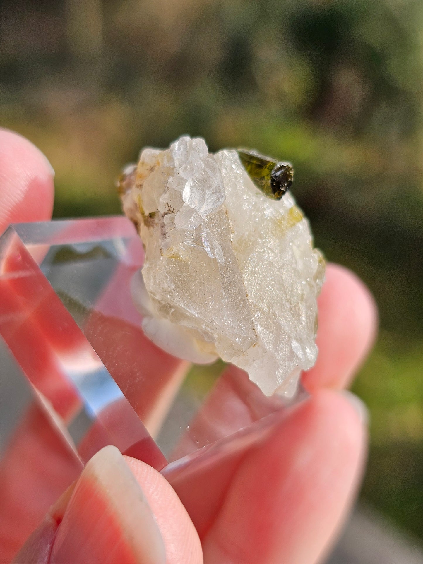 Tourmaline verte sur Quartz D