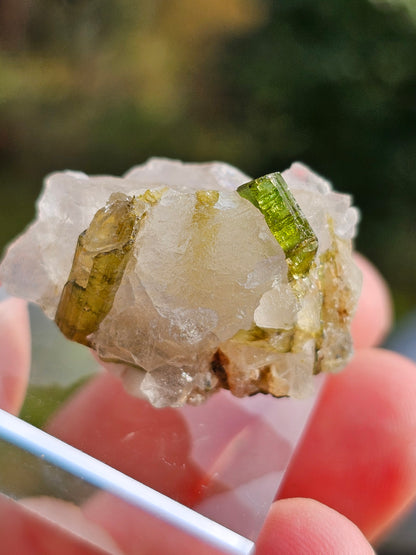 Tourmaline verte sur Quartz D