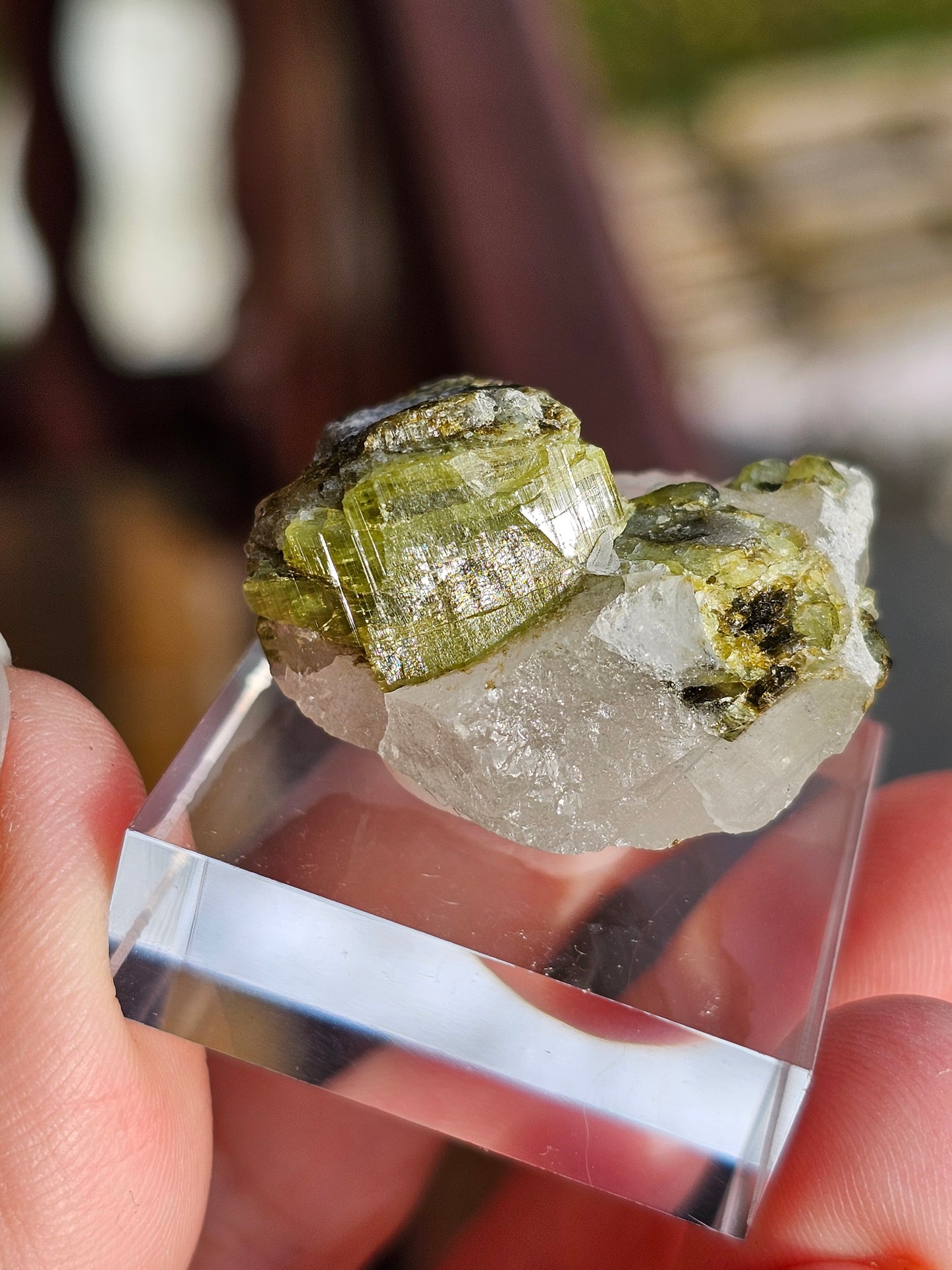 Tourmaline verte sur Quartz F