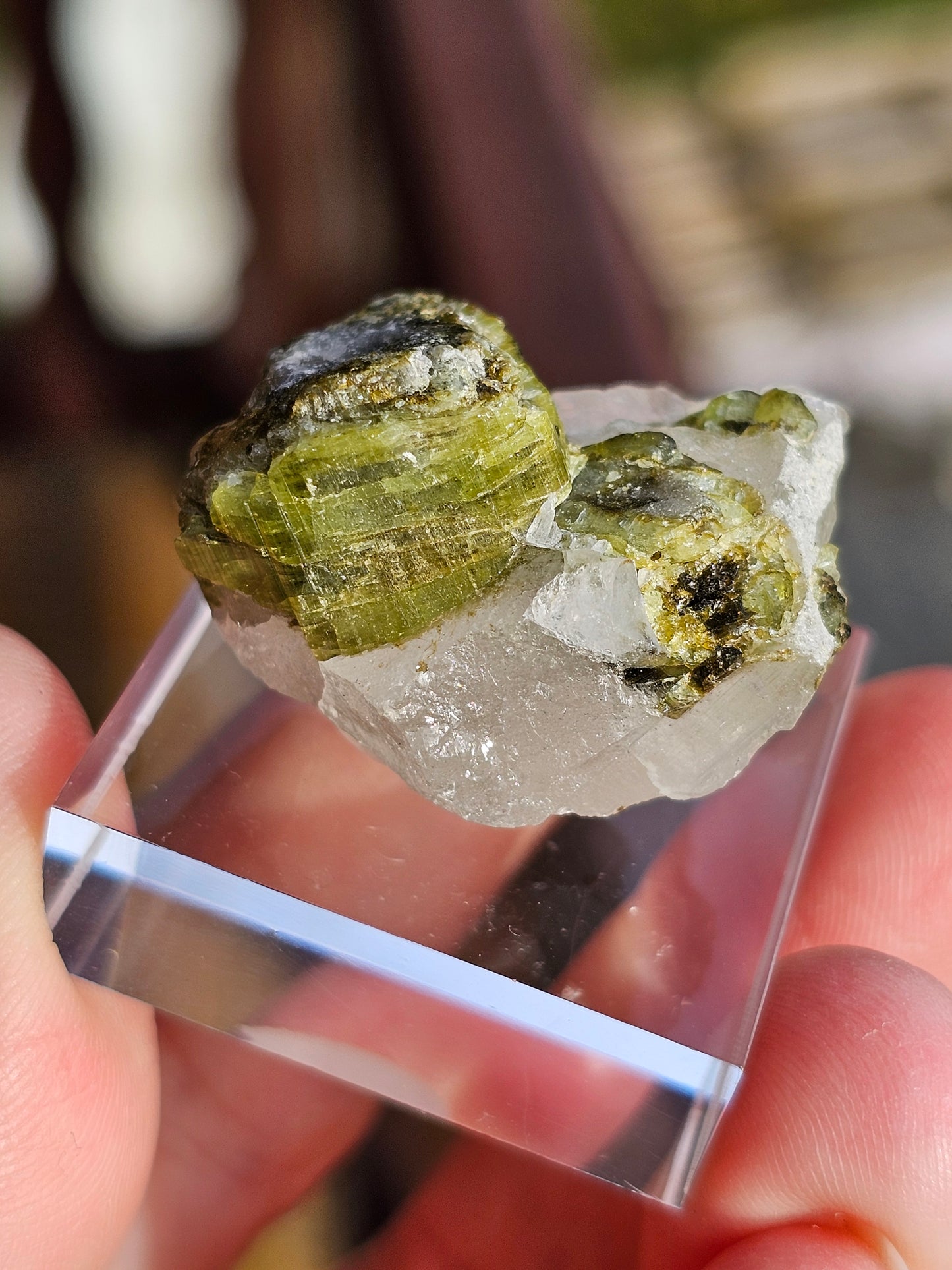 Tourmaline verte sur Quartz F