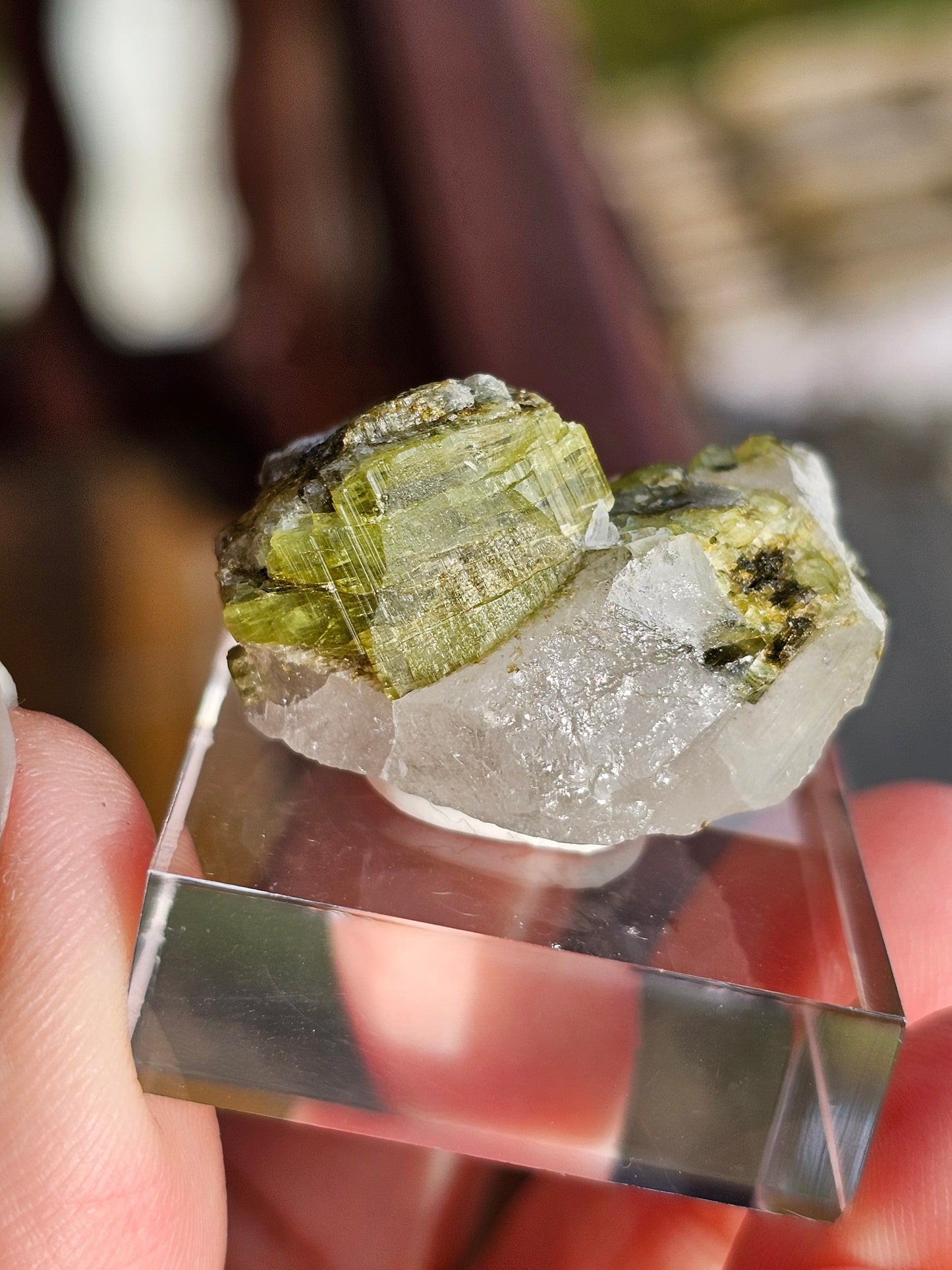 Tourmaline verte sur Quartz F