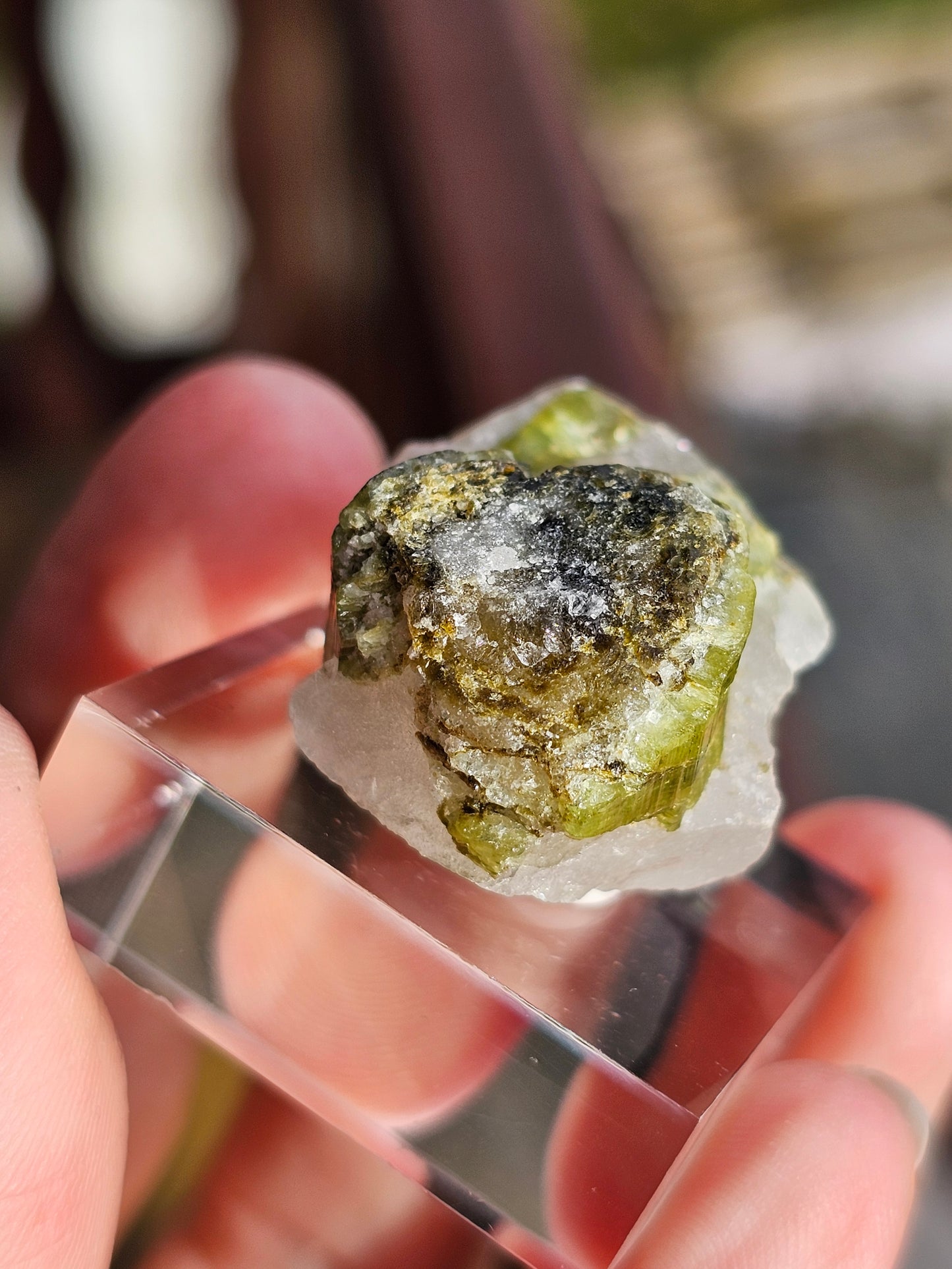 Tourmaline verte sur Quartz F