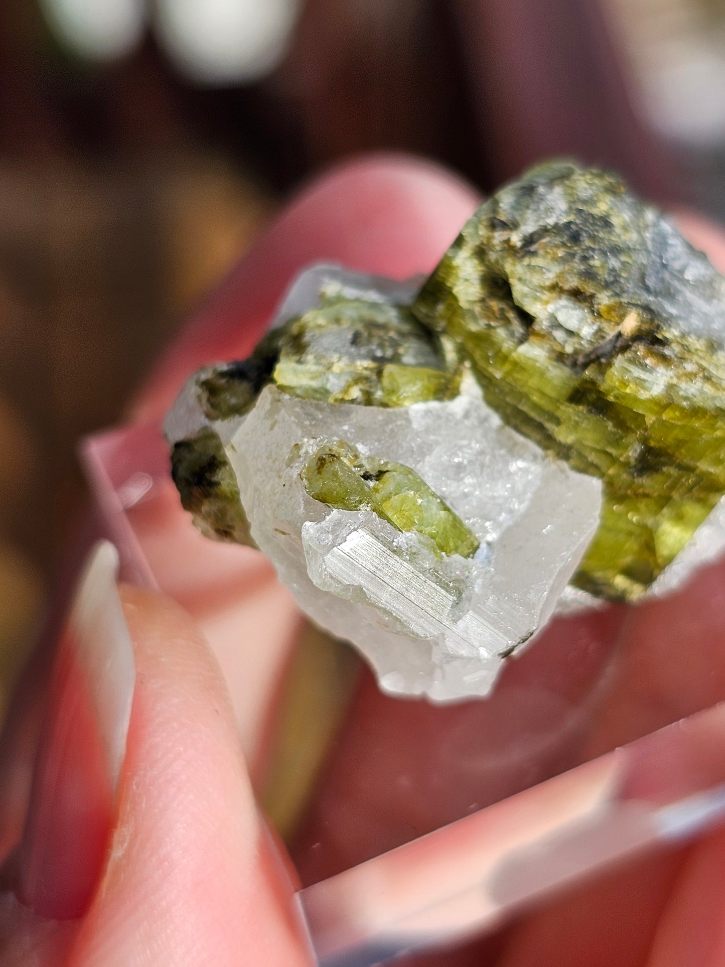 Tourmaline verte sur Quartz F