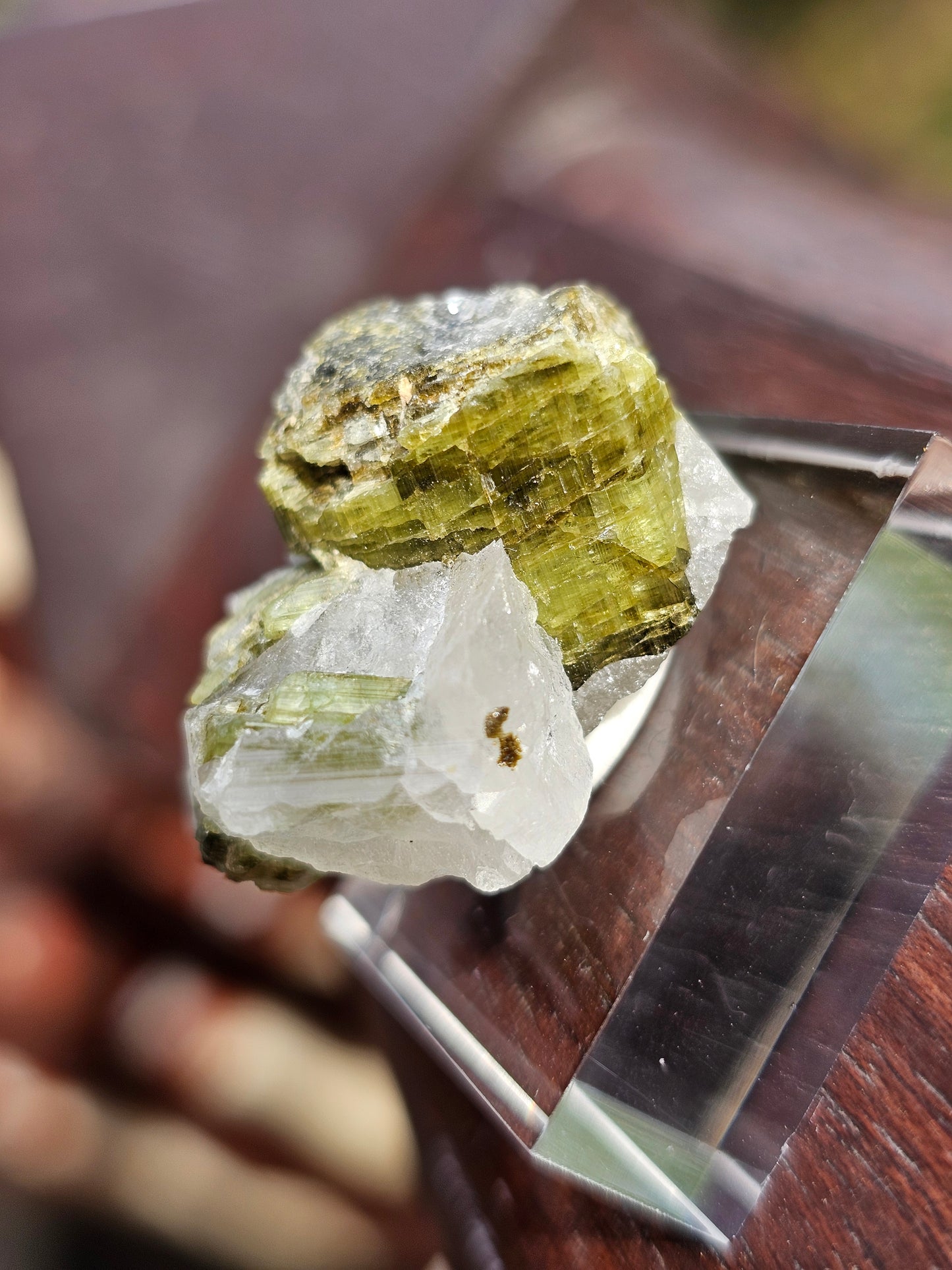 Tourmaline verte sur Quartz F