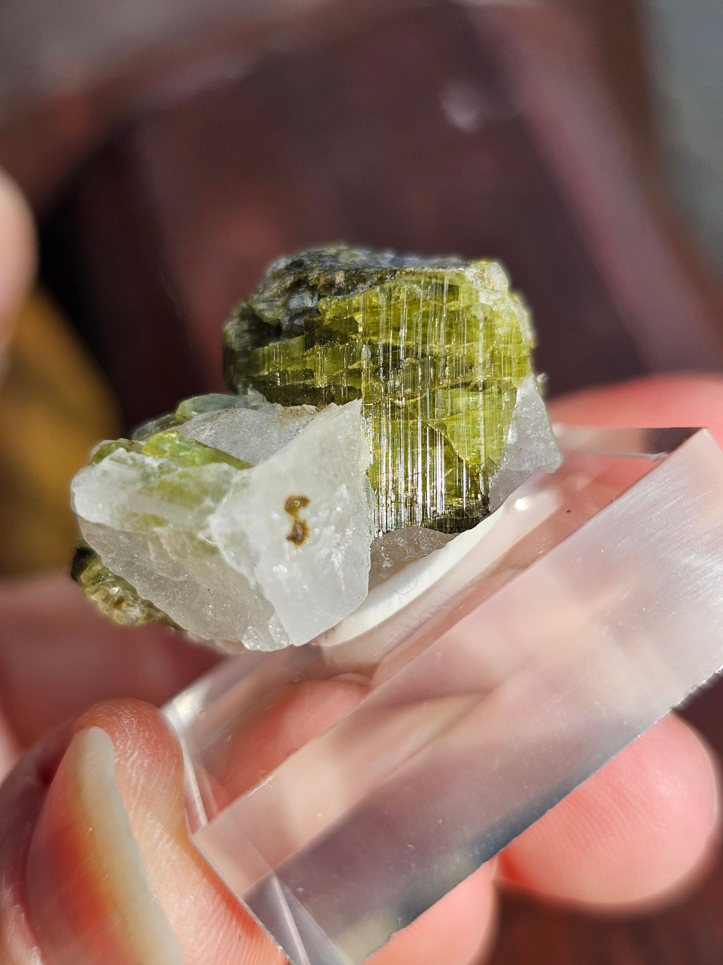 Tourmaline verte sur Quartz F