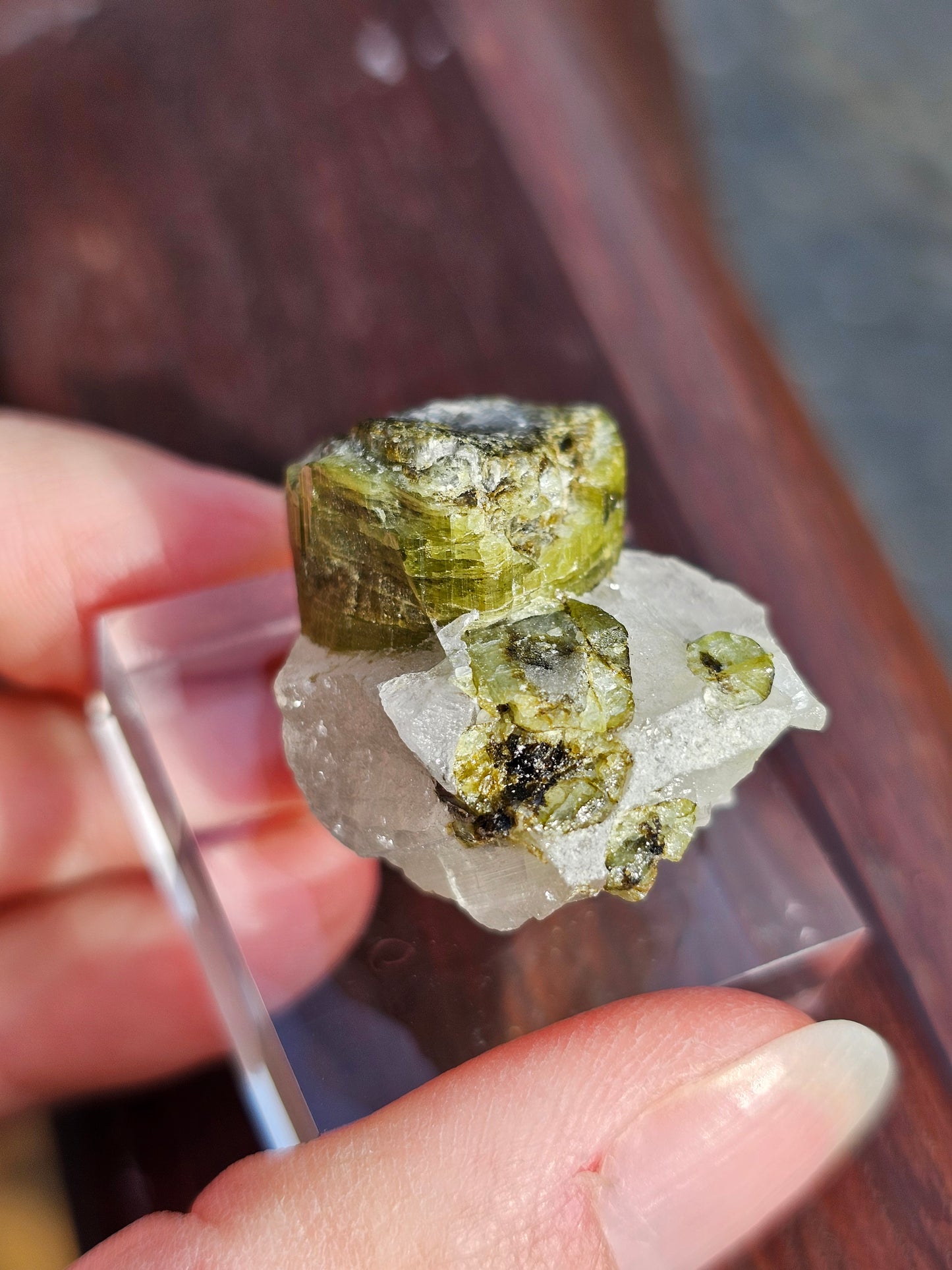 Tourmaline verte sur Quartz F