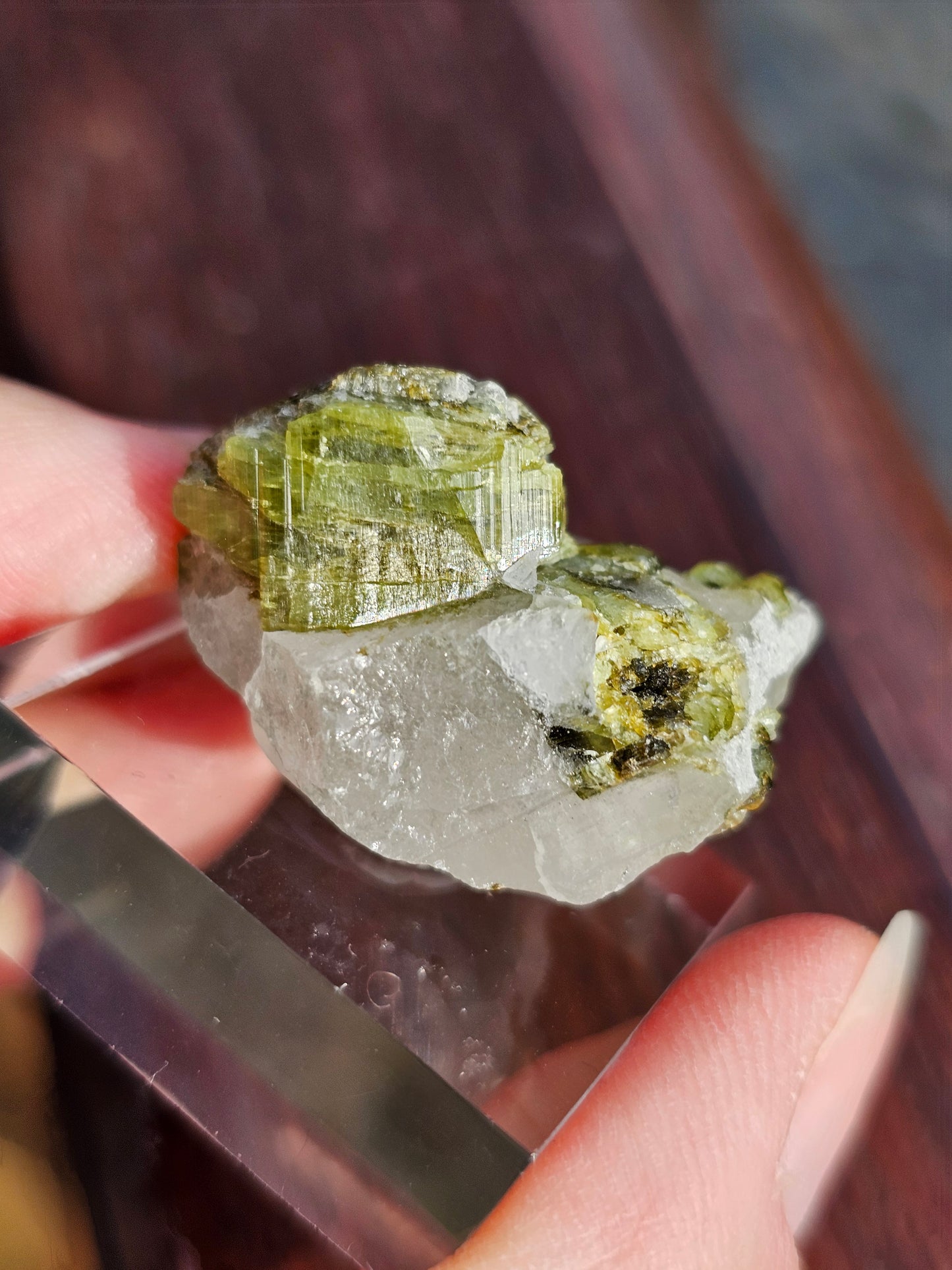 Tourmaline verte sur Quartz F