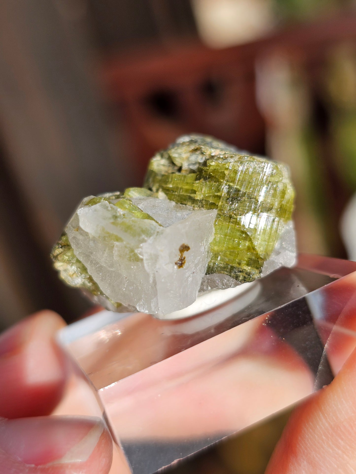 Tourmaline verte sur Quartz F