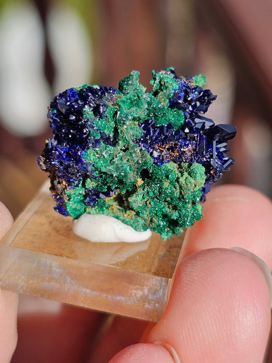 Azurite Malachite du Maroc AZ1