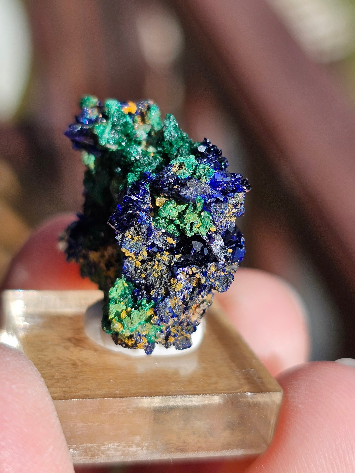 Azurite Malachite du Maroc AZ1