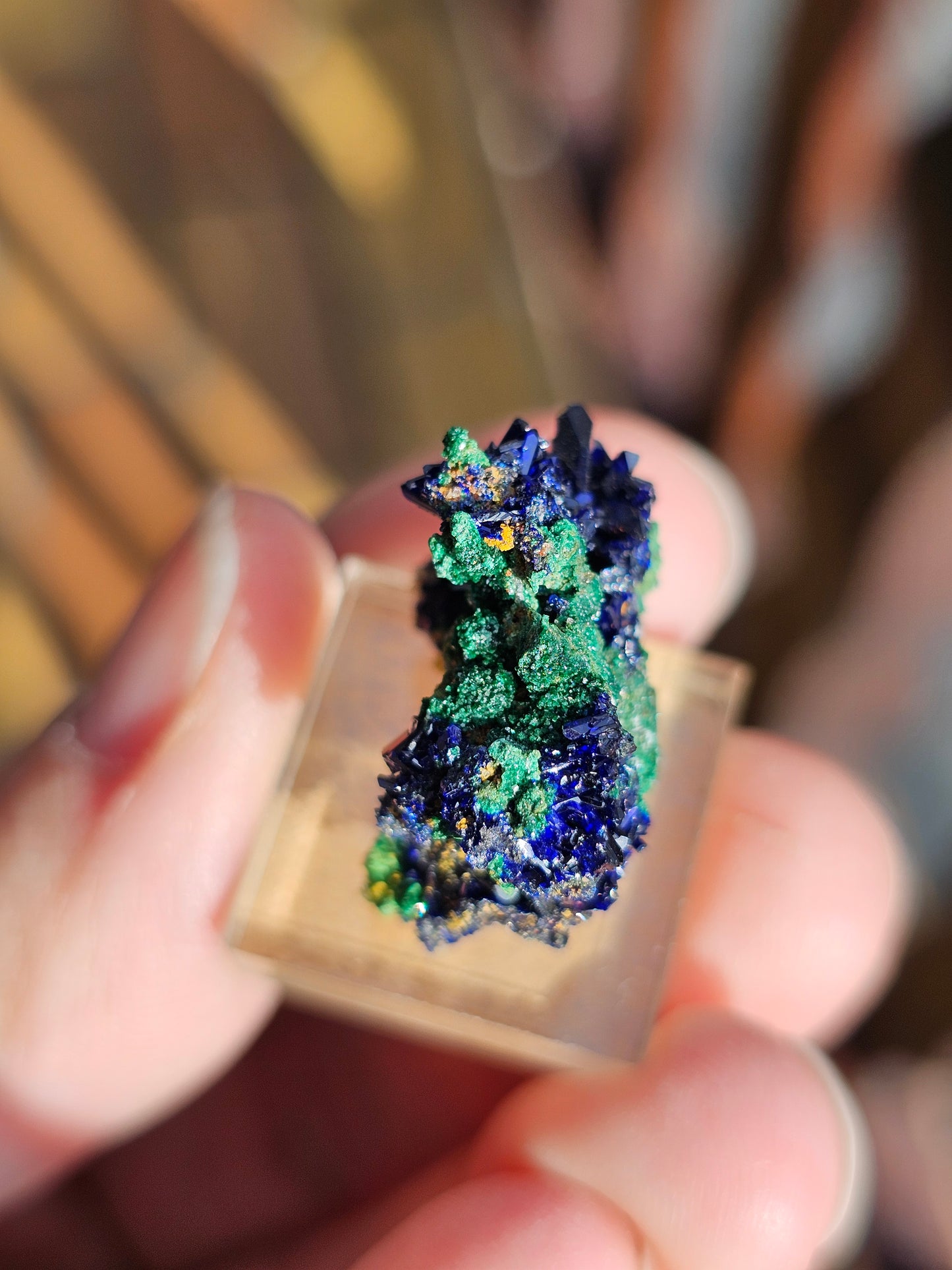 Azurite Malachite du Maroc AZ1