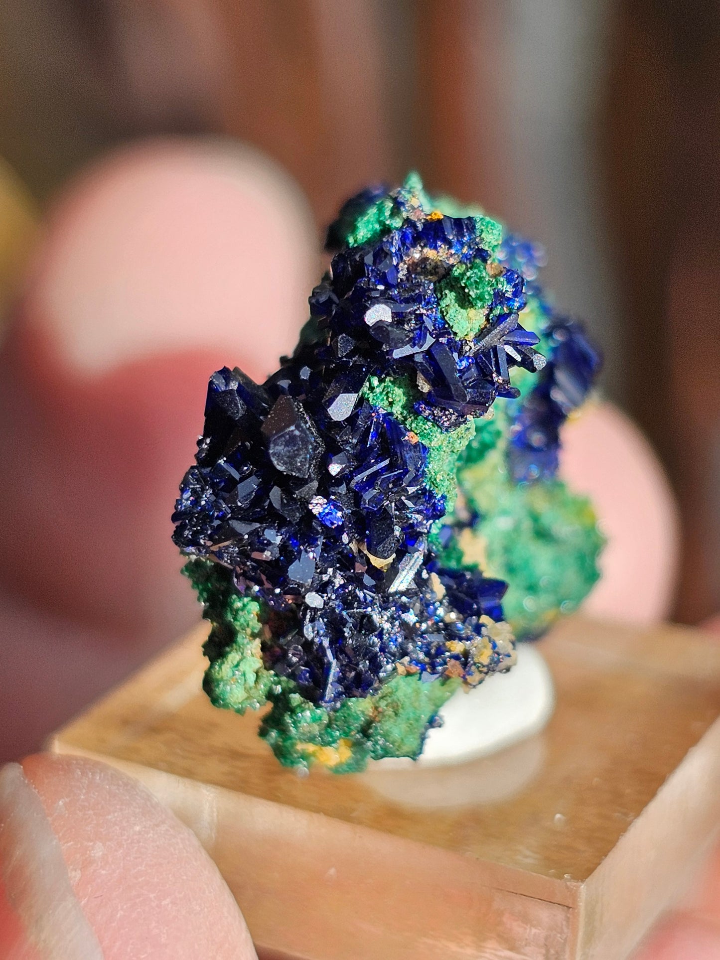 Azurite Malachite du Maroc AZ1