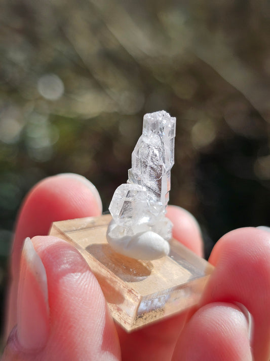 Quartz à âme Pakistan 22.8mm pierre naturelle sur socle