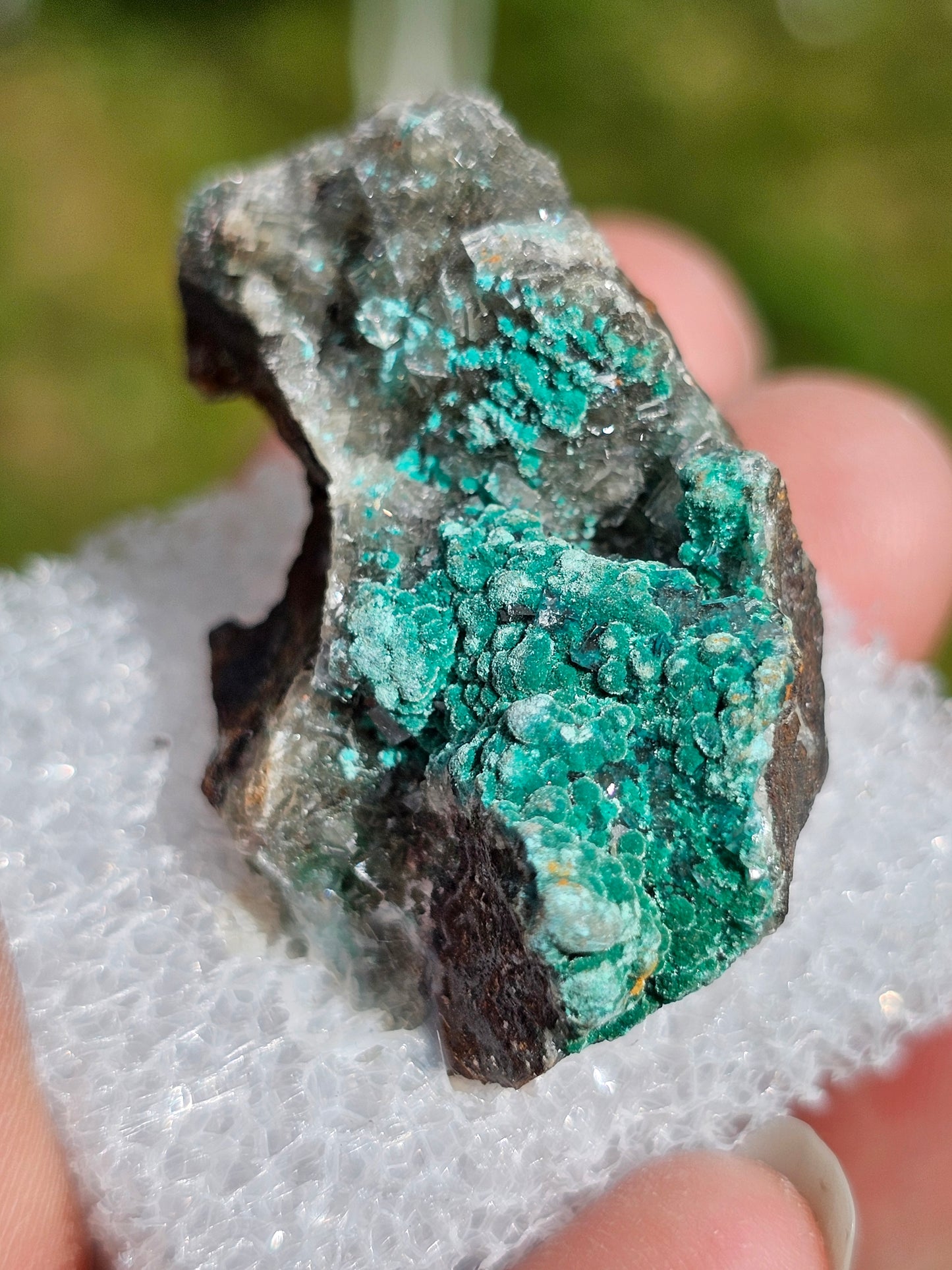 Rosasite du Mexique