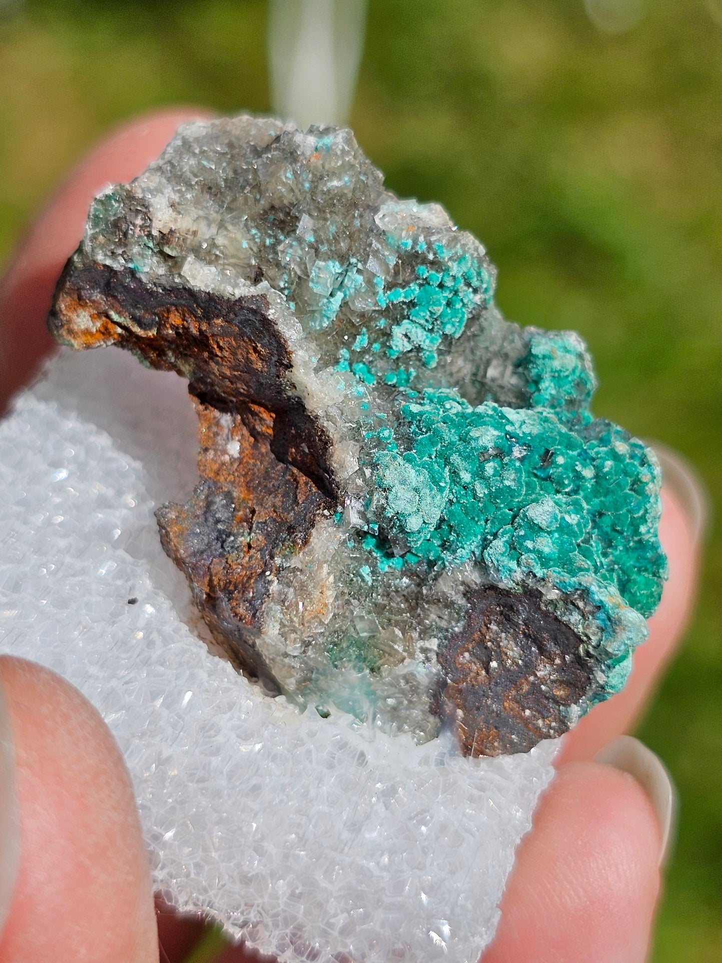 Rosasite du Mexique