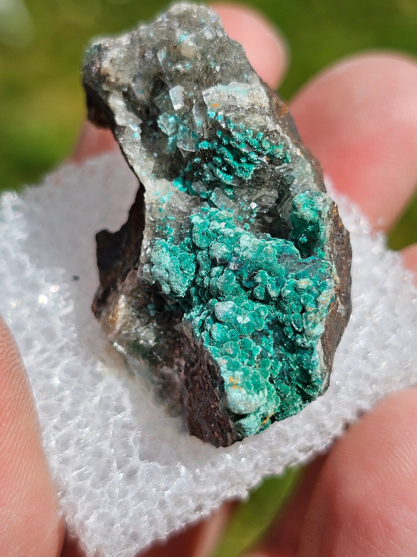 Rosasite du Mexique