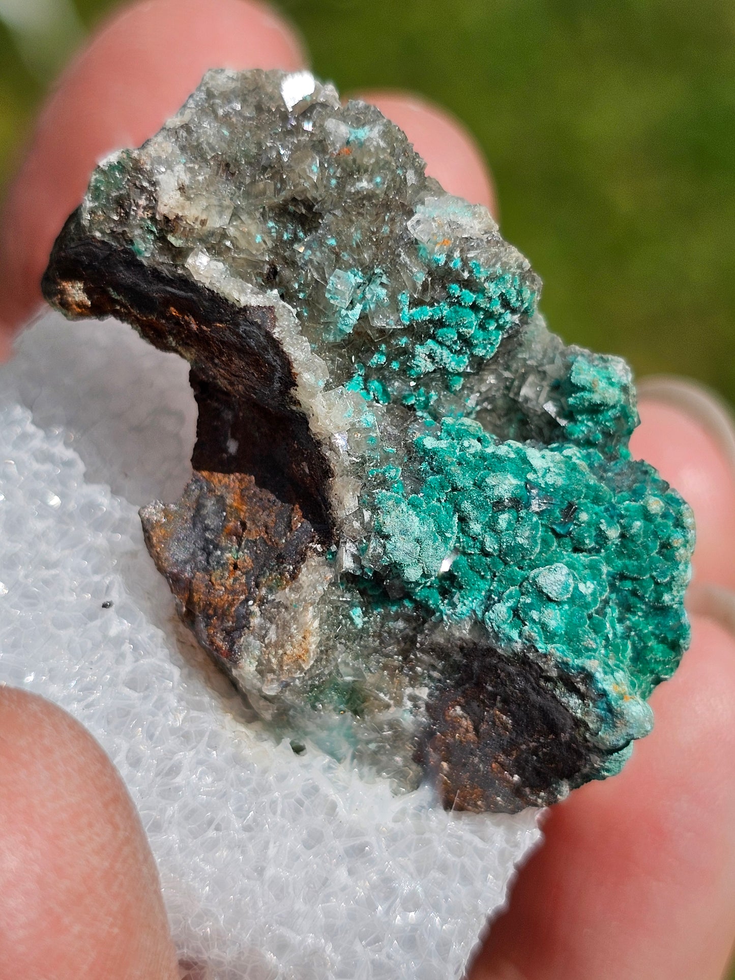 Rosasite du Mexique