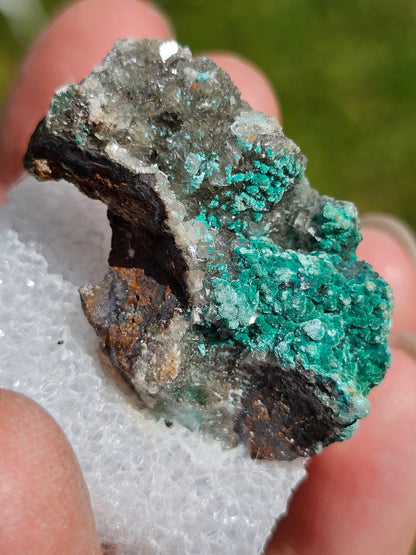 Rosasite du Mexique