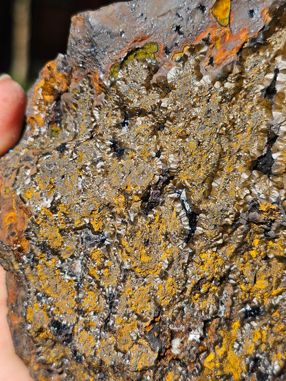 Incroyable Goethite du Maroc