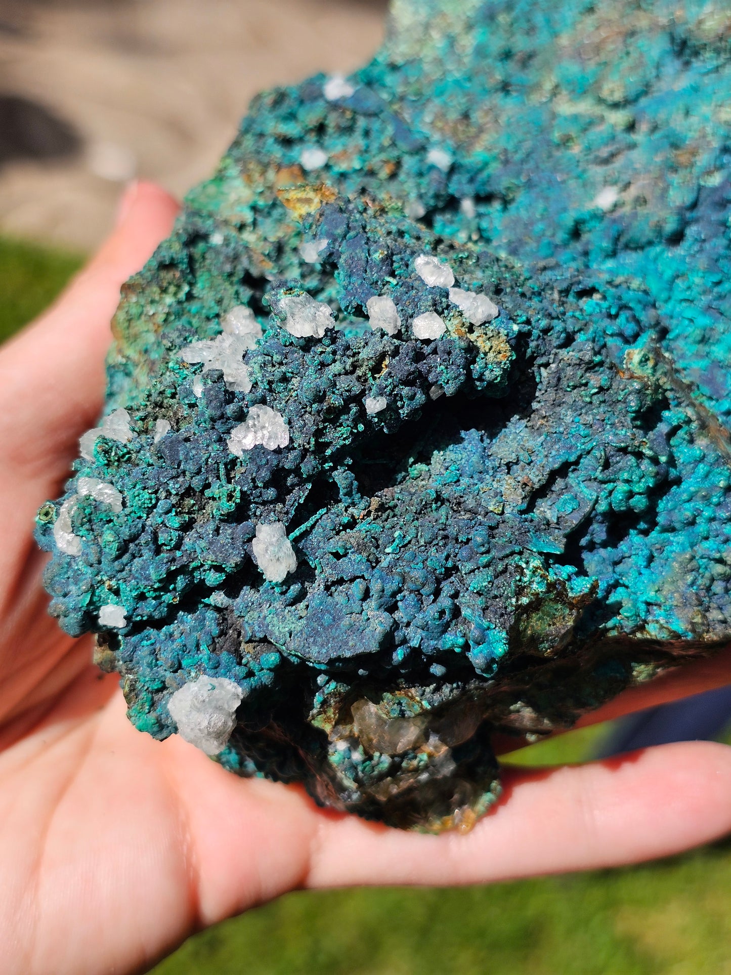 Superbe Chrysocolle du Pérou