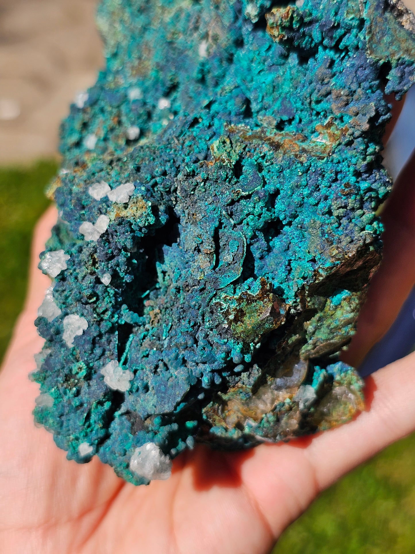 Superbe Chrysocolle du Pérou