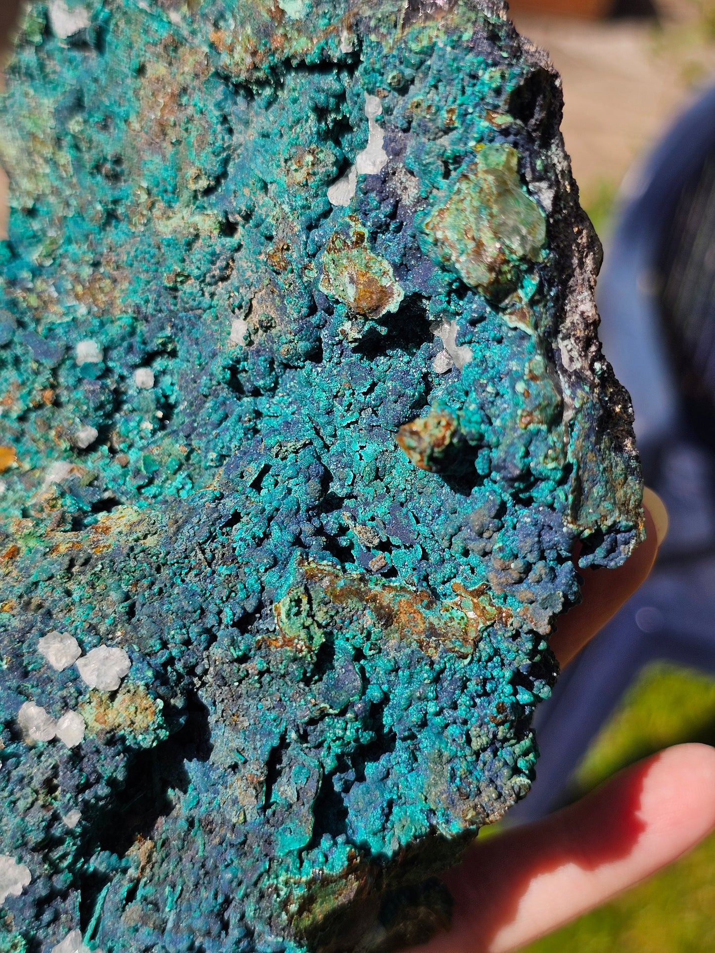 Superbe Chrysocolle du Pérou