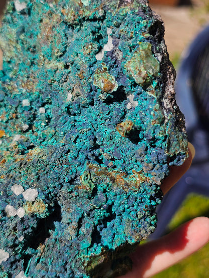 Superbe Chrysocolle du Pérou