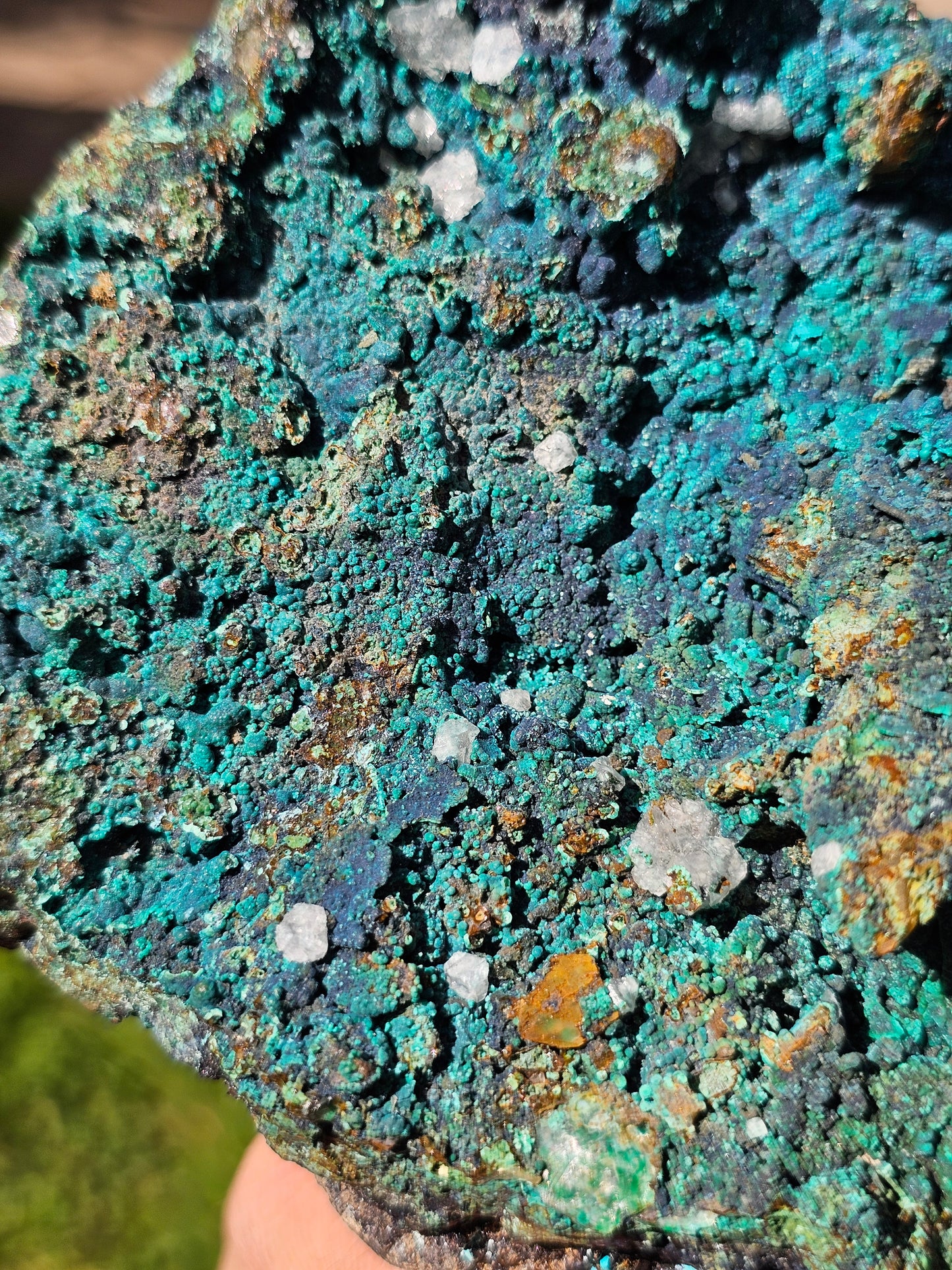 Superbe Chrysocolle du Pérou