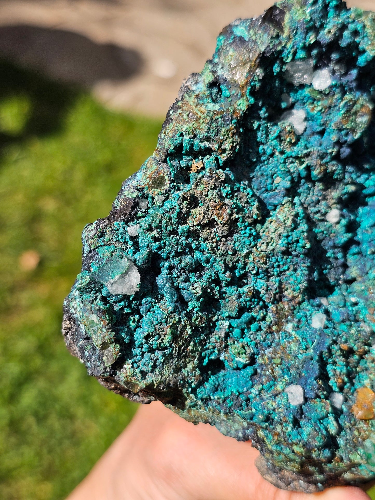 Superbe Chrysocolle du Pérou