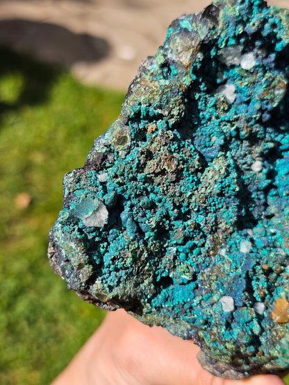 Superbe Chrysocolle du Pérou