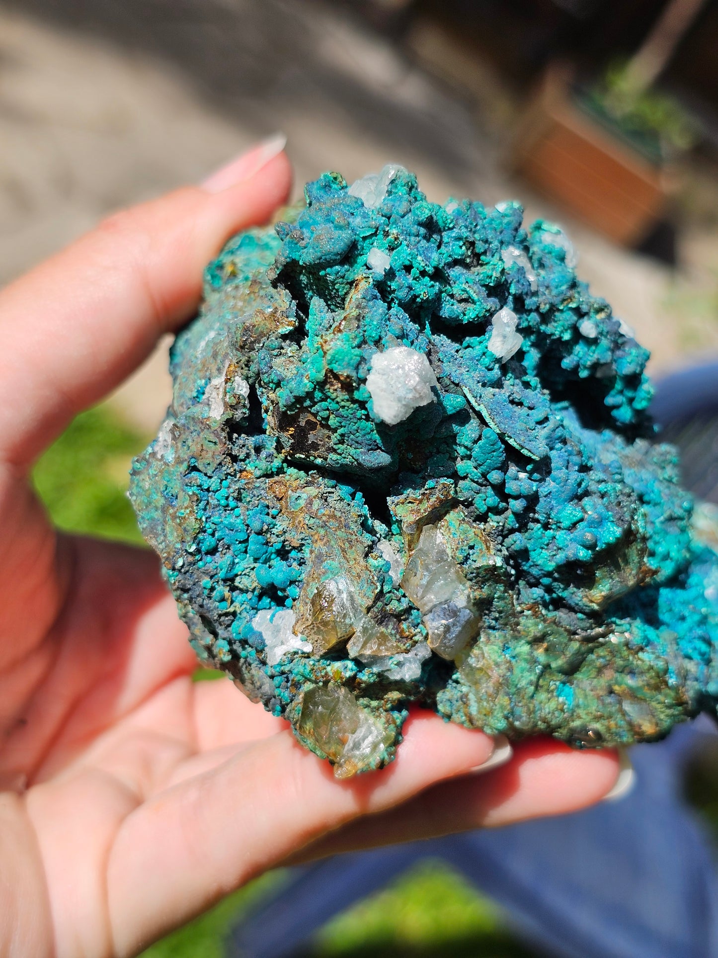 Superbe Chrysocolle du Pérou