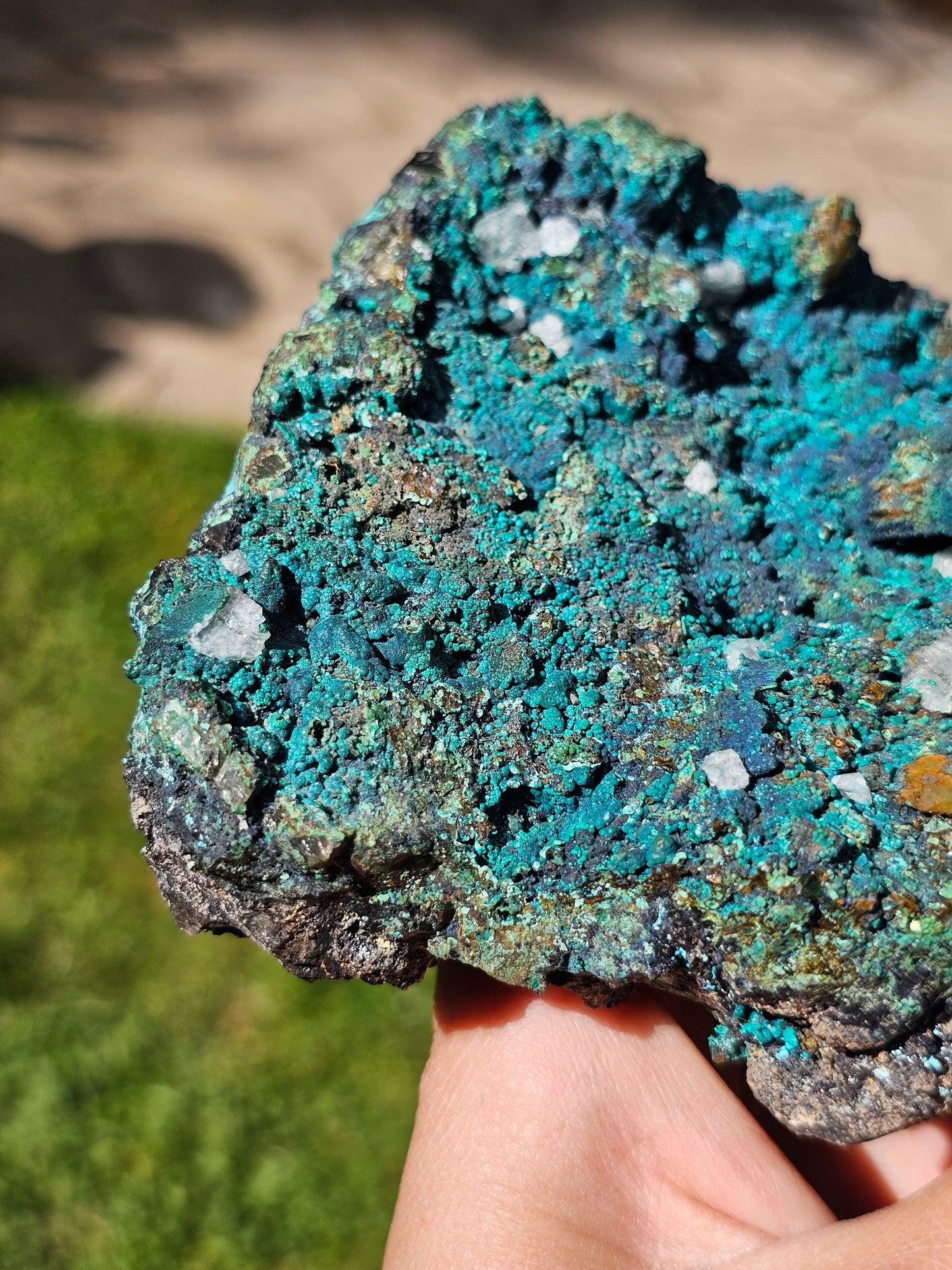 Superbe Chrysocolle du Pérou