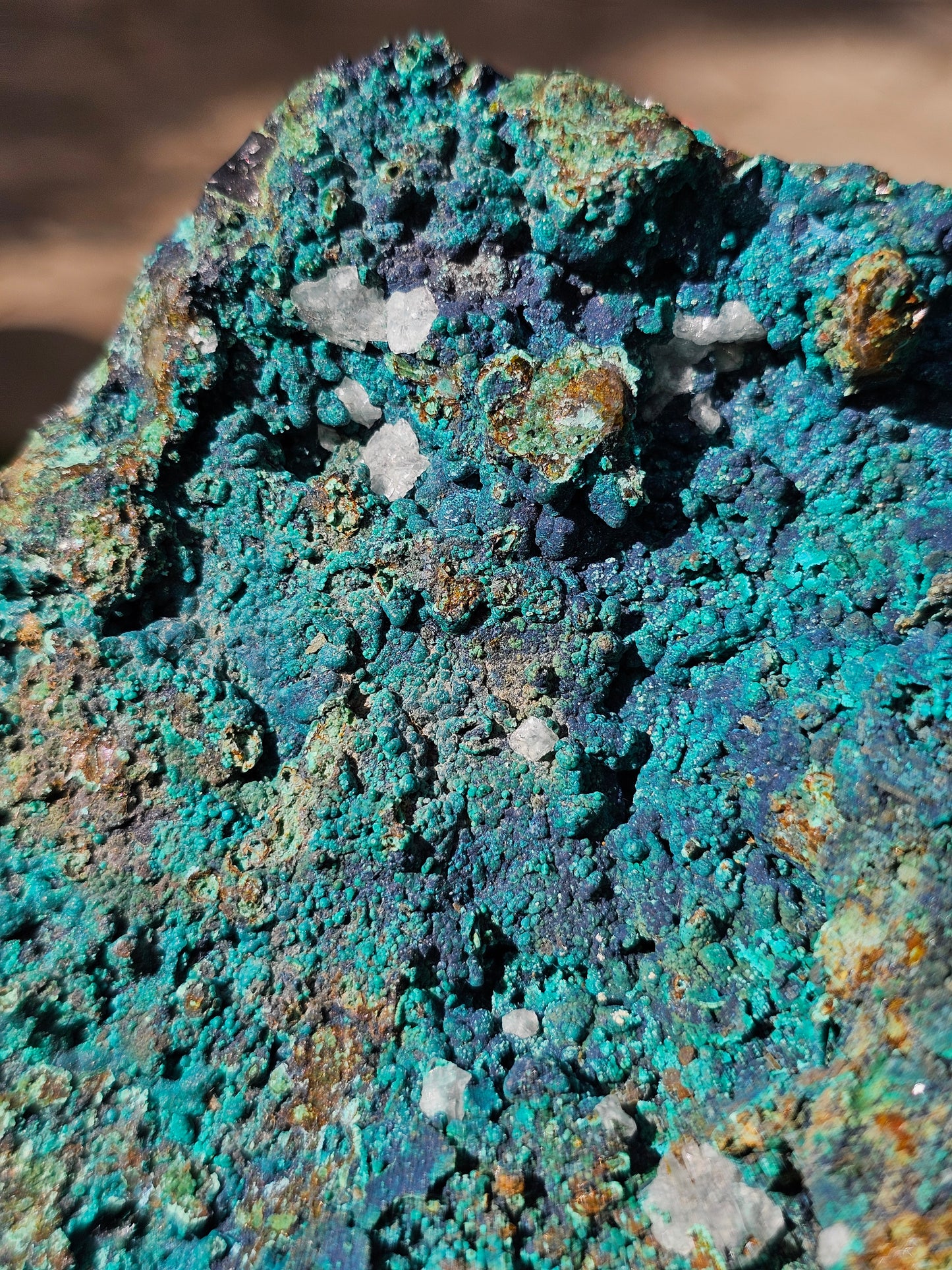 Superbe Chrysocolle du Pérou