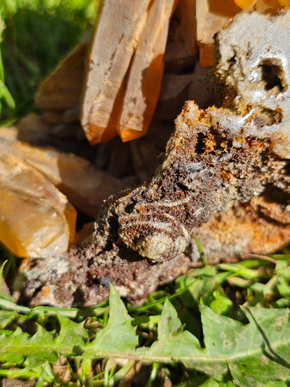 Magnifique Crâne de Quartz du Pérou A