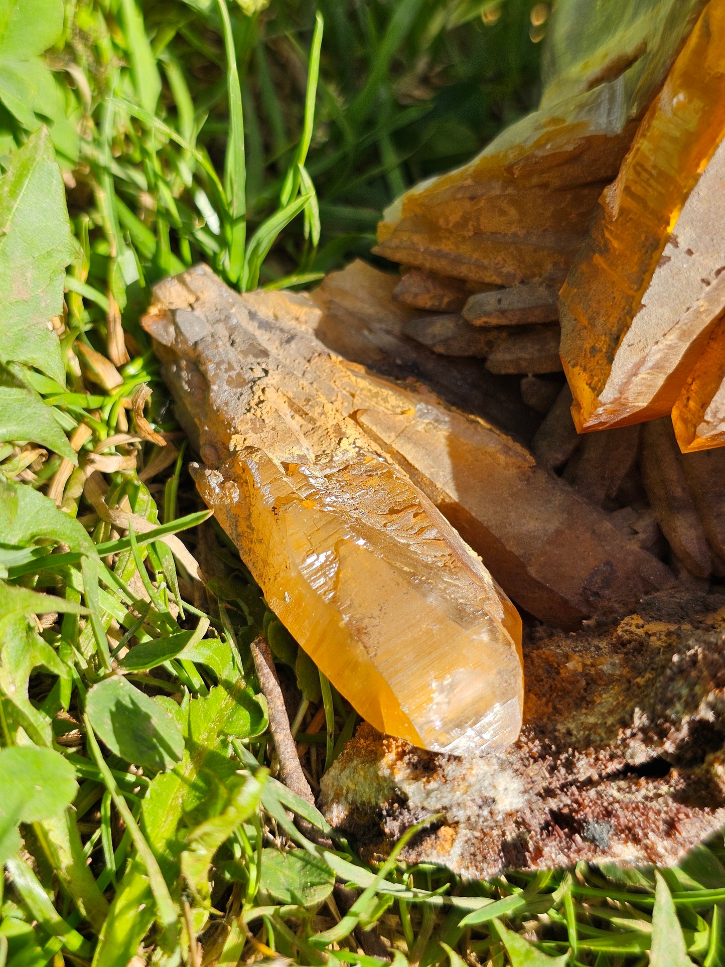 Magnifique Crâne de Quartz du Pérou A