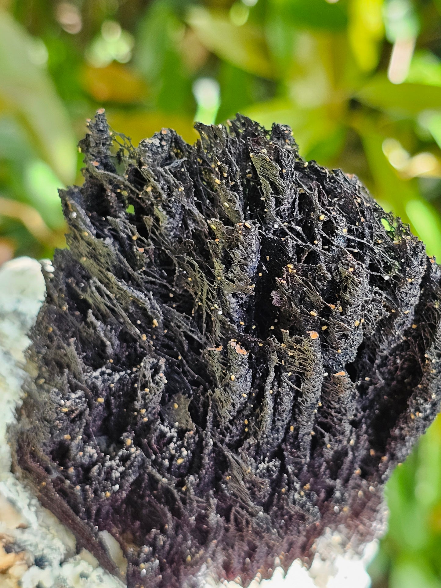 Incroyable Goethite du Maroc avec Baryte, Aragonite et Vanadinite