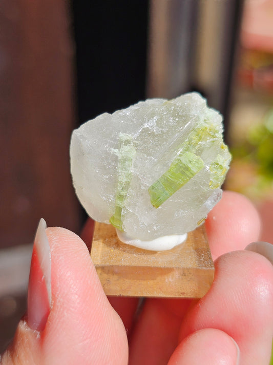 Tourmaline verte sur Quartz T8