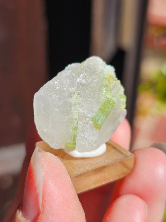 Tourmaline verte sur Quartz T8